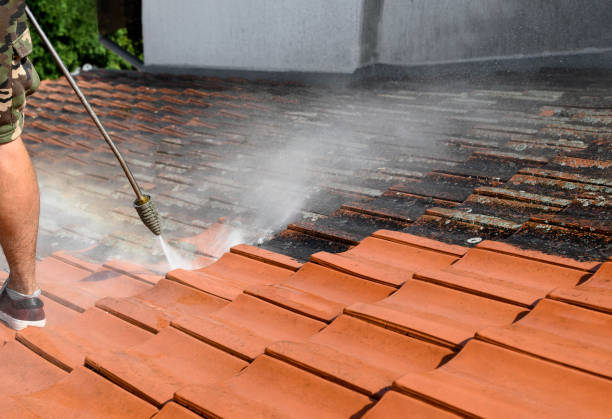 Best Deck Pressure Washing  in Lyons, CO